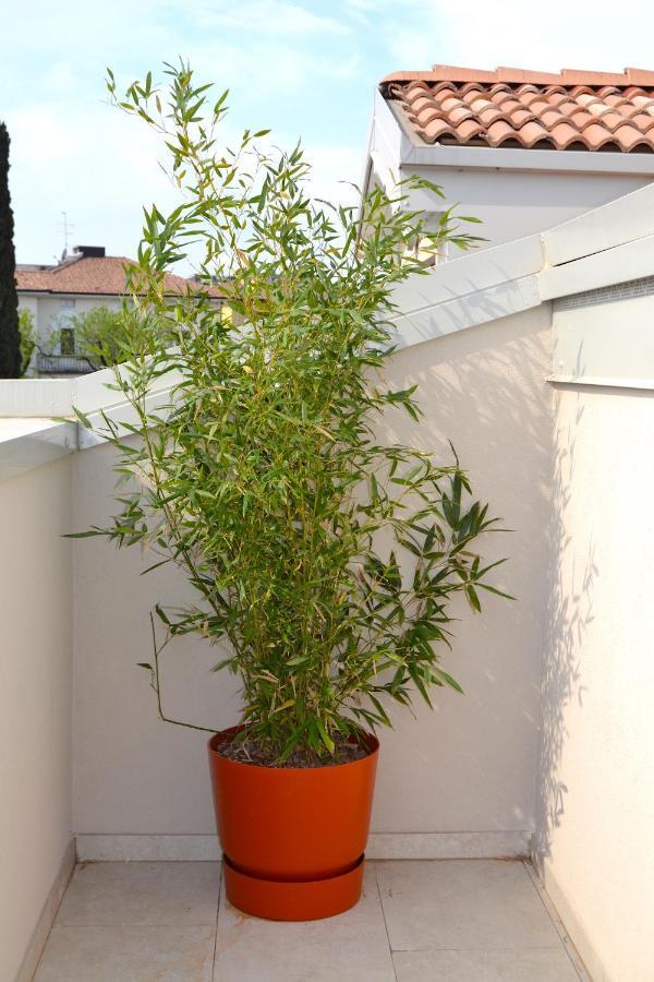 Zen Ar Holiday-Home Peschiera del Garda Dış mekan fotoğraf